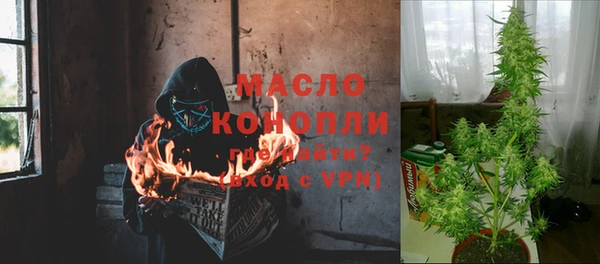ECSTASY Белокуриха