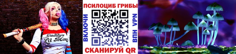 Псилоцибиновые грибы Cubensis  Отрадная 